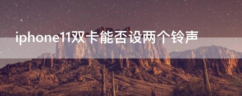 iPhone11双卡能否设两个铃声 苹果11双卡能设置两个来电铃声吗