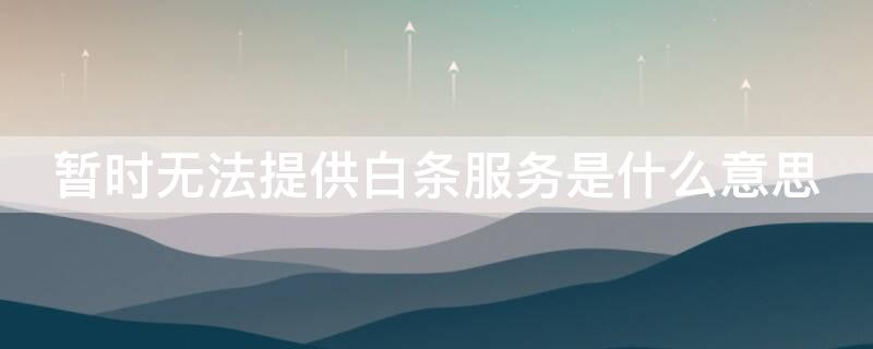 暂时无法提供白条服务是什么意思（暂时无法提供白条服务是什么意思啊）