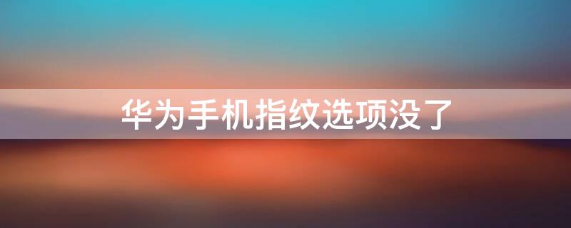 华为手机指纹选项没了 华为手机指纹设置没有了