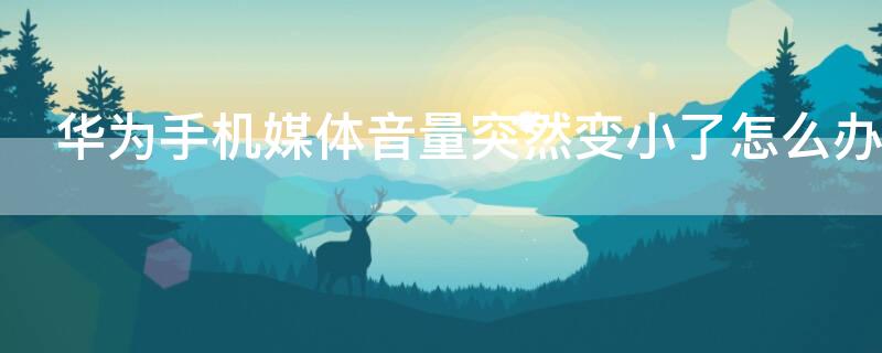 华为手机媒体音量突然变小了怎么办 华为手机媒体音量突然小了,如何调整?