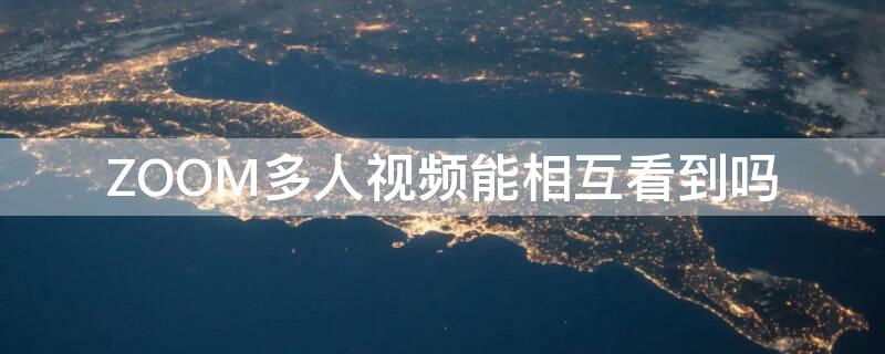 ZOOM多人视频能相互看到吗（zoom多人视频会议）