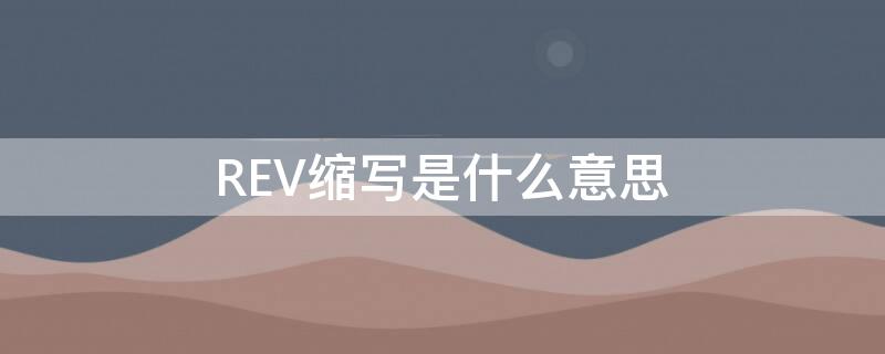 REV缩写是什么意思 rev缩写是什么意思啊