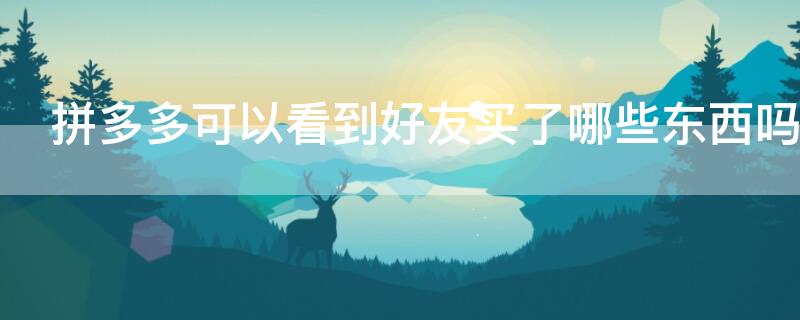 拼多多可以看到好友买了哪些东西吗 拼多多能看到好友买了什么吗