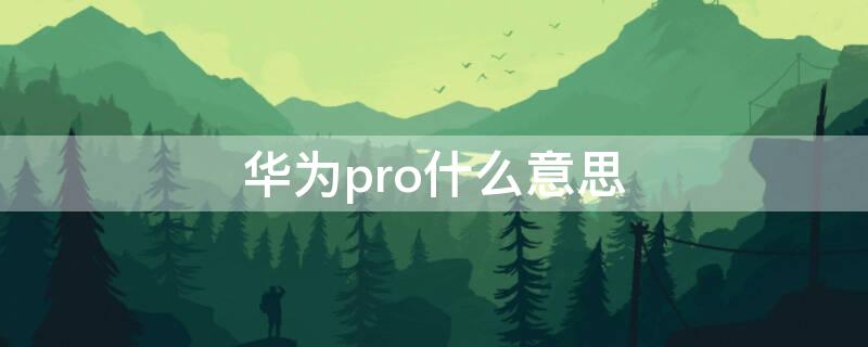 华为pro什么意思 华为pro什么意思?