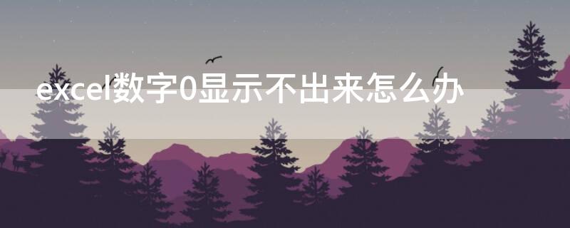 excel数字0显示不出来怎么办 excel数字显示不了0