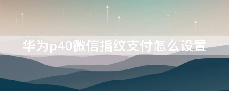 华为p40微信指纹支付怎么设置 华为p40微信指纹支付怎么设置不了
