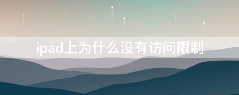 ipad上为什么没有访问限制（ipad为什么没有访问权限）