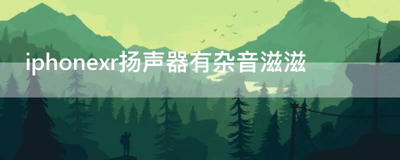 iPhonexr扬声器有杂音滋滋 苹果xr扬声器有杂音滋滋