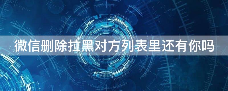 微信删除拉黑对方列表里还有你吗（微信里拉黑在删除对方,对方哪里还还会有显示吗）