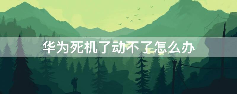 华为死机了动不了怎么办 华为手机死机咋办?