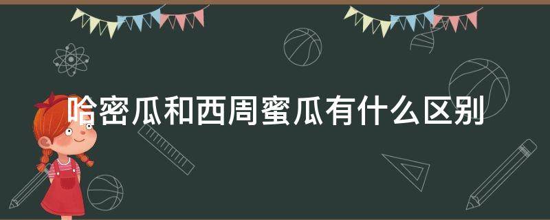 哈密瓜和西周蜜瓜有什么区别（西周哈密瓜和新疆哈密瓜）