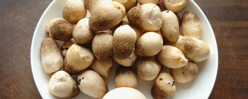 草菇怎么保存 蘑菇怎样保存和保鲜