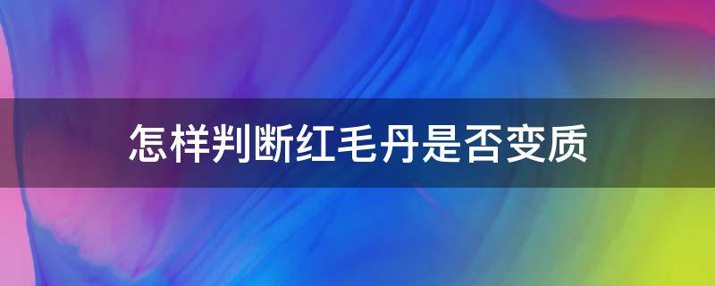 怎样判断红毛丹是否变质 怎样判断红毛丹是否变质图片