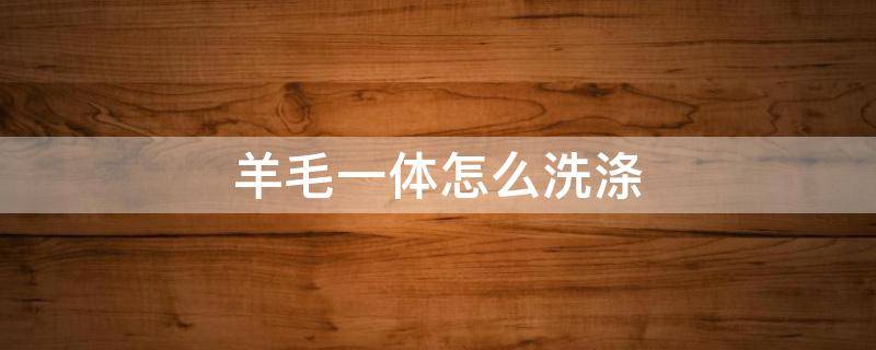 羊毛一体怎么洗涤（羊毛一体怎么洗涤才干净）