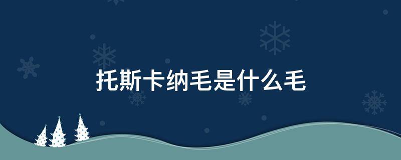 托斯卡纳毛是什么毛（托斯卡纳毛是真毛吗）