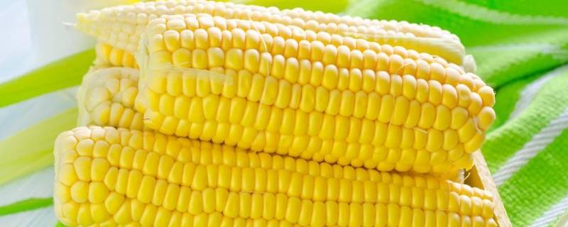 冷冻玉米煮多久能熟了 冰箱里拿出来的冻玉米怎么煮