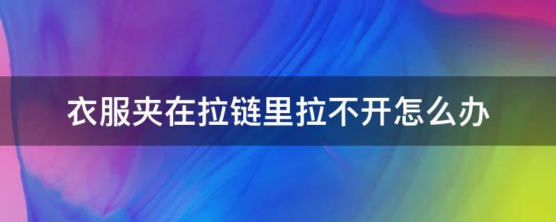 衣服夹在拉链里拉不开怎么办 衣服夹在拉链里拉不开怎么办小妙招