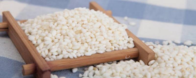 糯米不泡直接用电饭煲煮可以吗（糯米不泡直接蒸能熟吗）