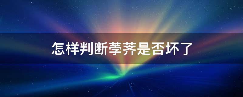 怎样判断荸荠是否坏了 怎样判断荸荠是否坏了图片