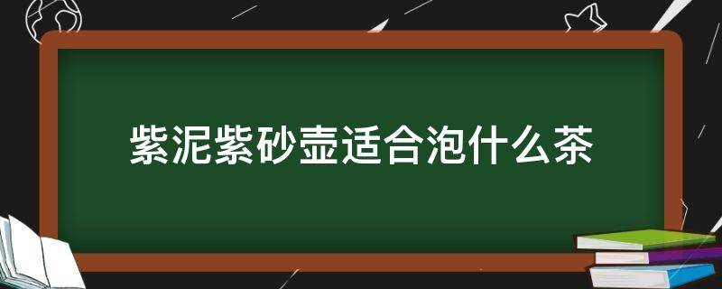 紫泥紫砂壶适合泡什么茶（紫泥紫砂壶适合泡什么茶叶）