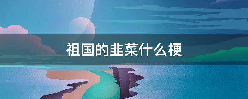祖国的韭菜什么梗