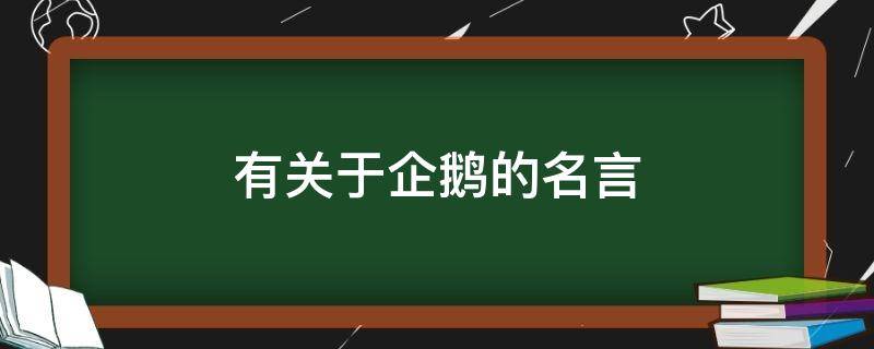 有关于企鹅的名言（关于企鹅的名言警句英语）