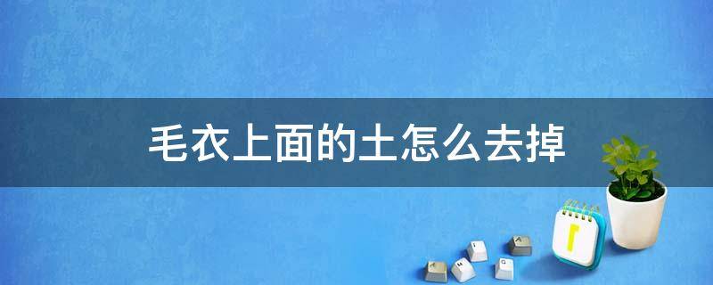 毛衣上面的土怎么去掉 毛衣上有顽固性污渍怎么能去掉