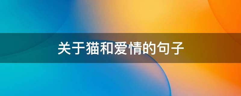 关于猫和爱情的句子（关于猫和爱情的句子唯美）
