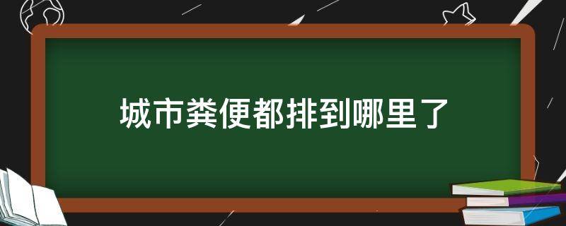 城市粪便都排到哪里了（城市下水道粪便去哪了）