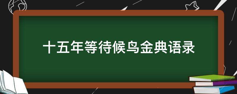 十五年等待候鸟金典语录