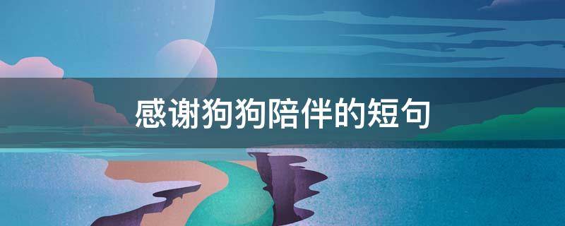 感谢狗狗陪伴的短句（感谢狗狗陪伴的短句说说）