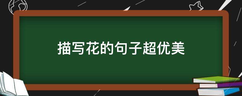 描写花的句子超优美 描写花的句子超优美50字