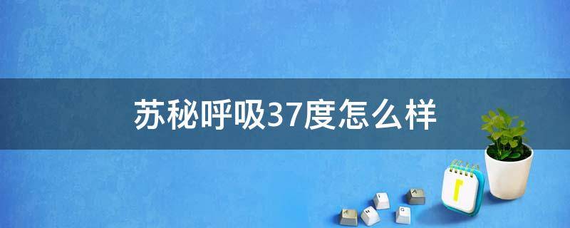 苏秘呼吸37度怎么样（苏秘37呼吸套装正品鉴别）