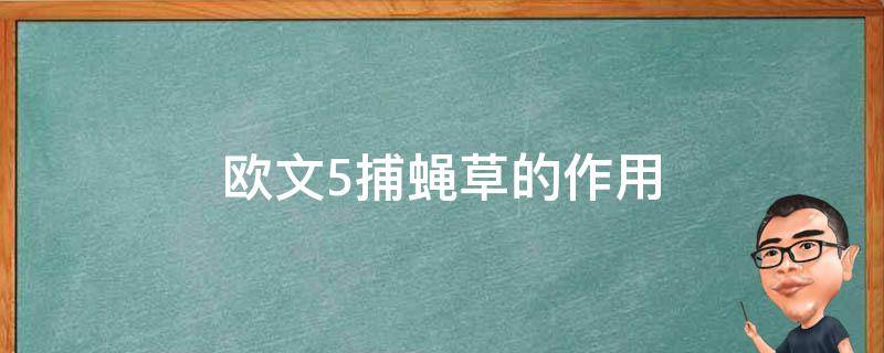 欧文5捕蝇草的作用（欧文5捕蝇草组装绑法）