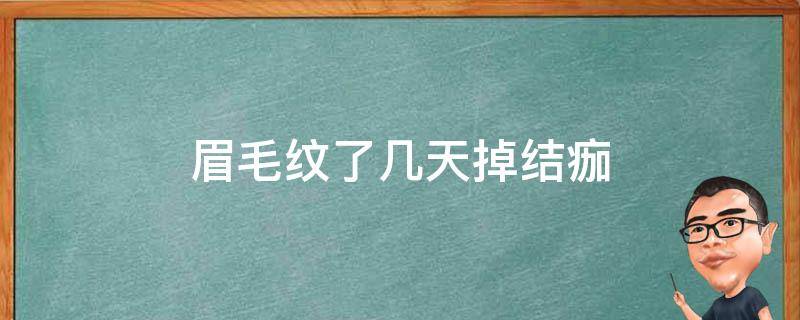 眉毛纹了几天掉结痂 纹眉1-7天变化图片