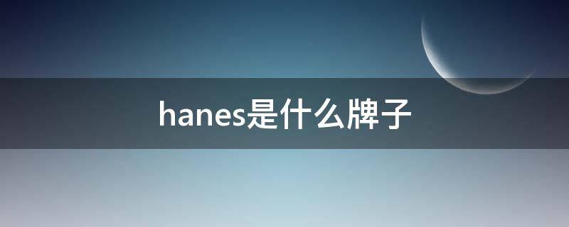 hanes是什么牌子（hanscool是什么品牌）