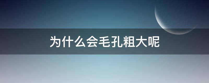 为什么会毛孔粗大呢 为什么会毛孔变粗