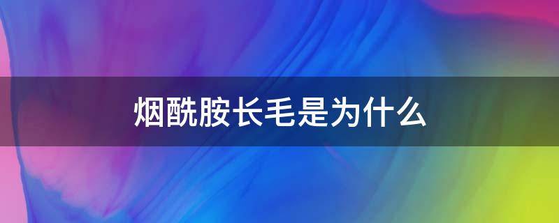 烟酰胺长毛是为什么 烟酰胺长出来的毛