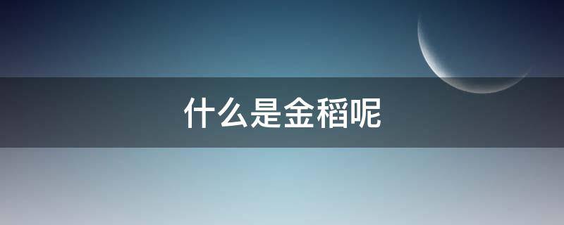 什么是金稻呢 金稻米是什么米