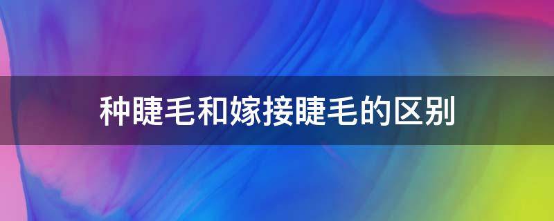 种睫毛和嫁接睫毛的区别 种睫毛好还是嫁接睫毛好?