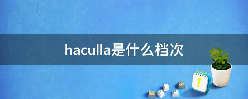 haculla是什么档次 hacci是什么档次