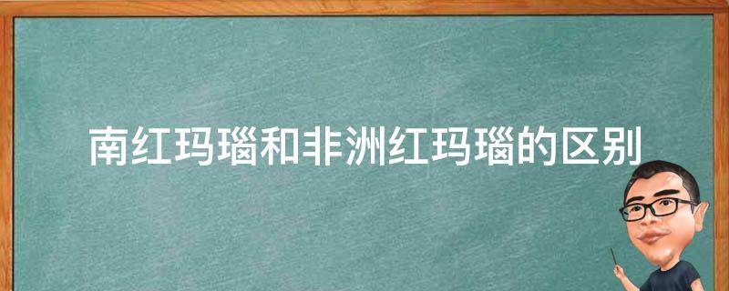 南红玛瑙和非洲红玛瑙的区别 南红玛瑙和非洲红玛瑙的区别图片