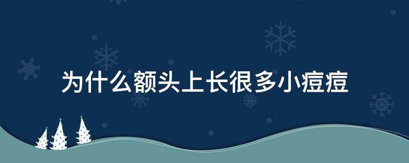 为什么额头上长很多小痘痘（为什么额头上长好多痘痘）