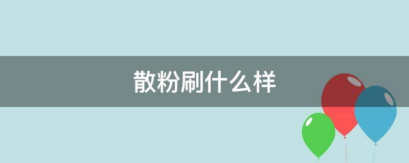 散粉刷什么样（散粉刷长什么样）