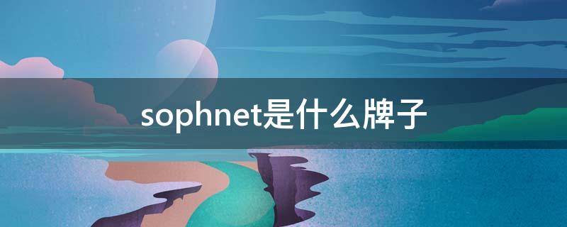 sophnet是什么牌子（sophia是什么牌子）