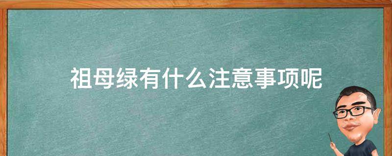 祖母绿有什么注意事项呢 祖母绿常见的优化处理方法