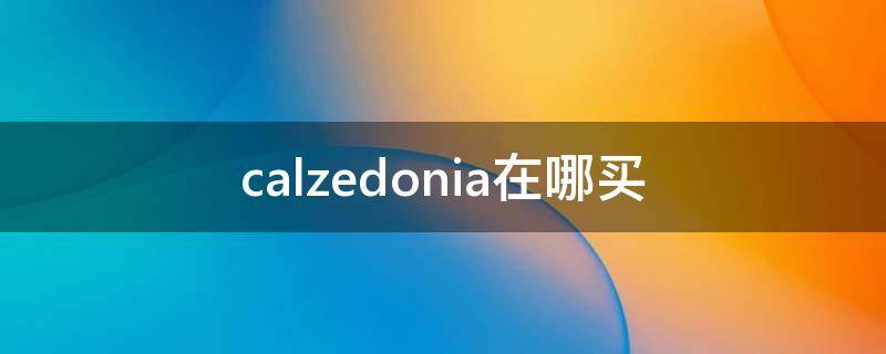 calzedonia在哪买（calzedonia店铺）