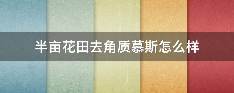 半亩花田去角质慕斯怎么样 半亩花田去角质慕斯怎么样?