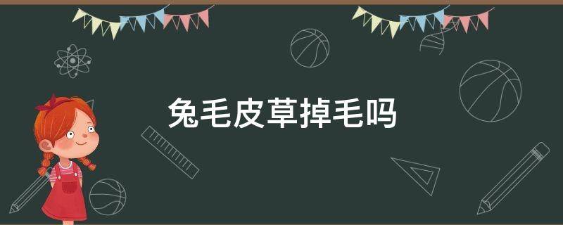 兔毛皮草掉毛吗 兔毛皮草掉毛彻底解决方法