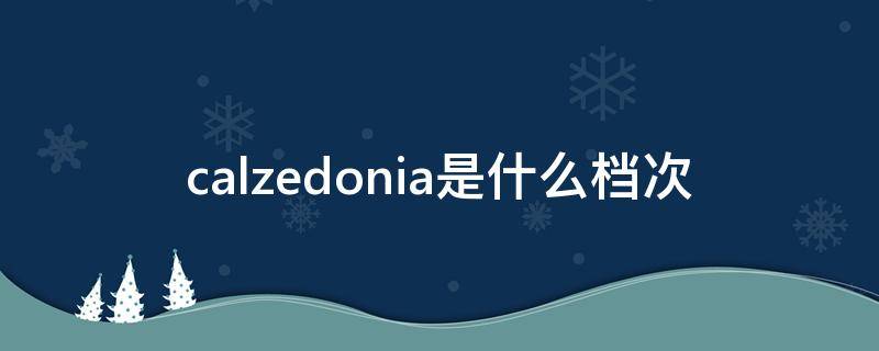 calzedonia是什么档次（calzedonia官方旗舰店）